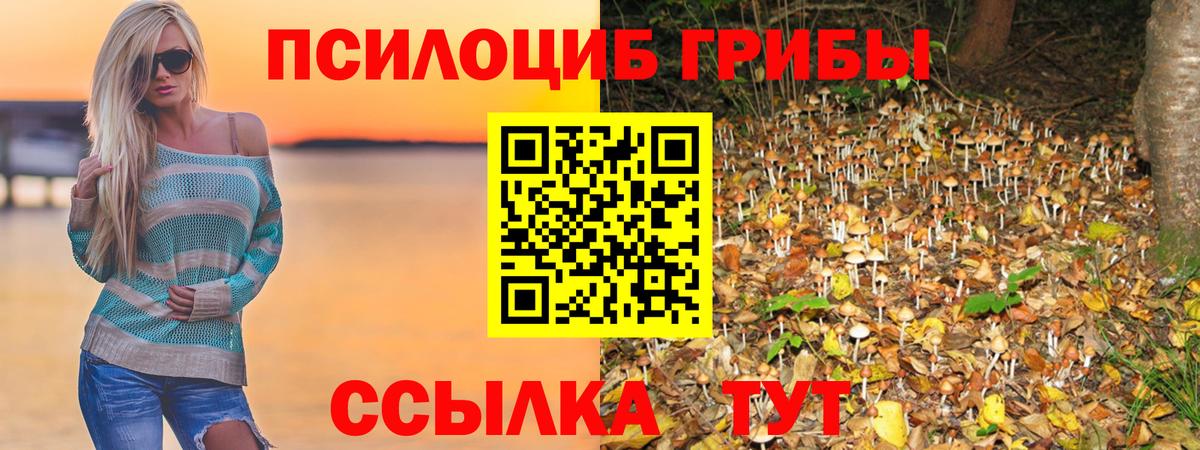 Галлюциногенные грибы GOLDEN TEACHER Брянск