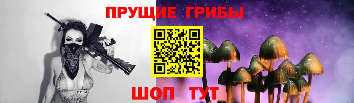 Брянск  Галлюциногенные грибы GOLDEN TEACHER  Вход с VPN 